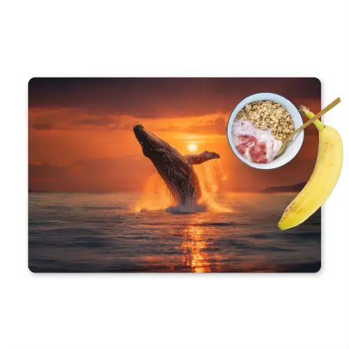 Walvis - Zon - Zee Placemat vinyl groot -zzzproduct_Kitchenyeah-website