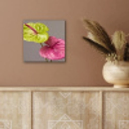 Planten - Anthurium - Groen - Roze aluminium wit klein -sfeer4