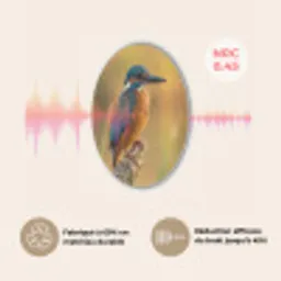 IJsvogel - Tak - Water - Kleurrijk - Levendig Akoestische PET Vilt - Rond klein -USP_FR