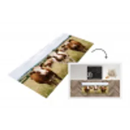 Koeien - Portret - Weide - Boerderij - Nieuwsgierig Keukenloper - keukenmat middel -3d