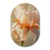 Close up - Oranje - Iris Wandcirkel Ovaal Glas middel -3d