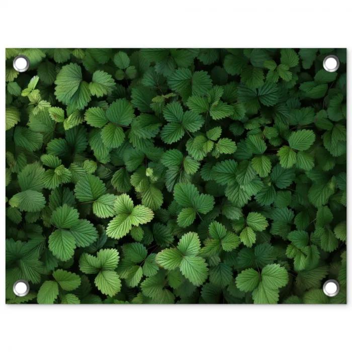 Groen - Bladeren - Kartel - Zonlicht tuinposter los doek klein -3d