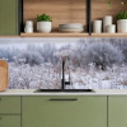 Schermbloem - Rijp - Kristallen - Winter - Delicaat keuken achterwand 2 middel -sfeer3