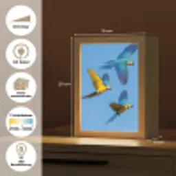 Papagaai - Vliegen - Blauw - Geel Light Box met kabel (Kinderlampje) klein -USP_websiteoverzichtDE