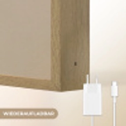 Leeuw - Oranje bloemen - Vriendelijk Light Box met batterij (Wandlamp kind) middel -USP_websiteoplaadbaarDE