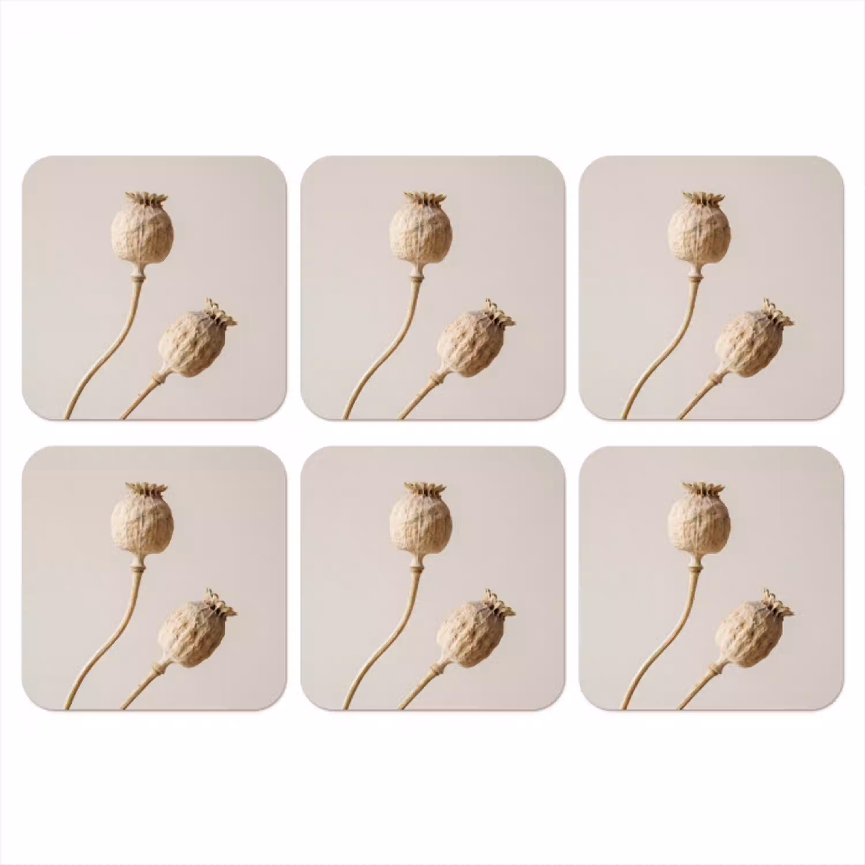 Papaverbollen - Droogbloemen - Minimalistisch - Beige - Rustig onderzetter kurk middel -3d