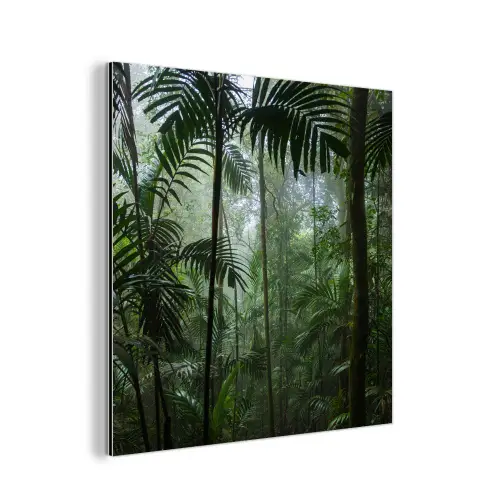 Regenwoud - Tropisch - Jungle - Bomen - Planten aluminium wit klein -3d