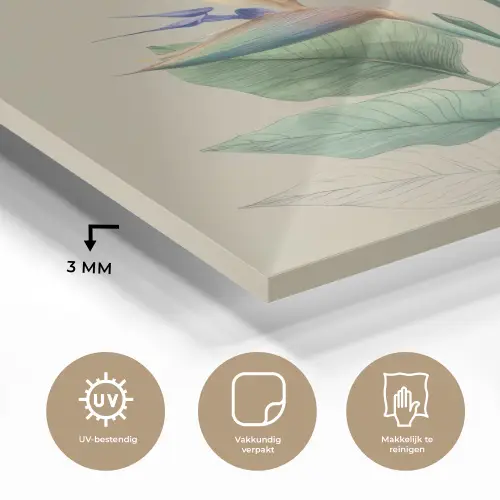 Paradijsvogelbloemen - Blauwgroene bladeren - Beige plexiglas 5mm klein -sfeer2