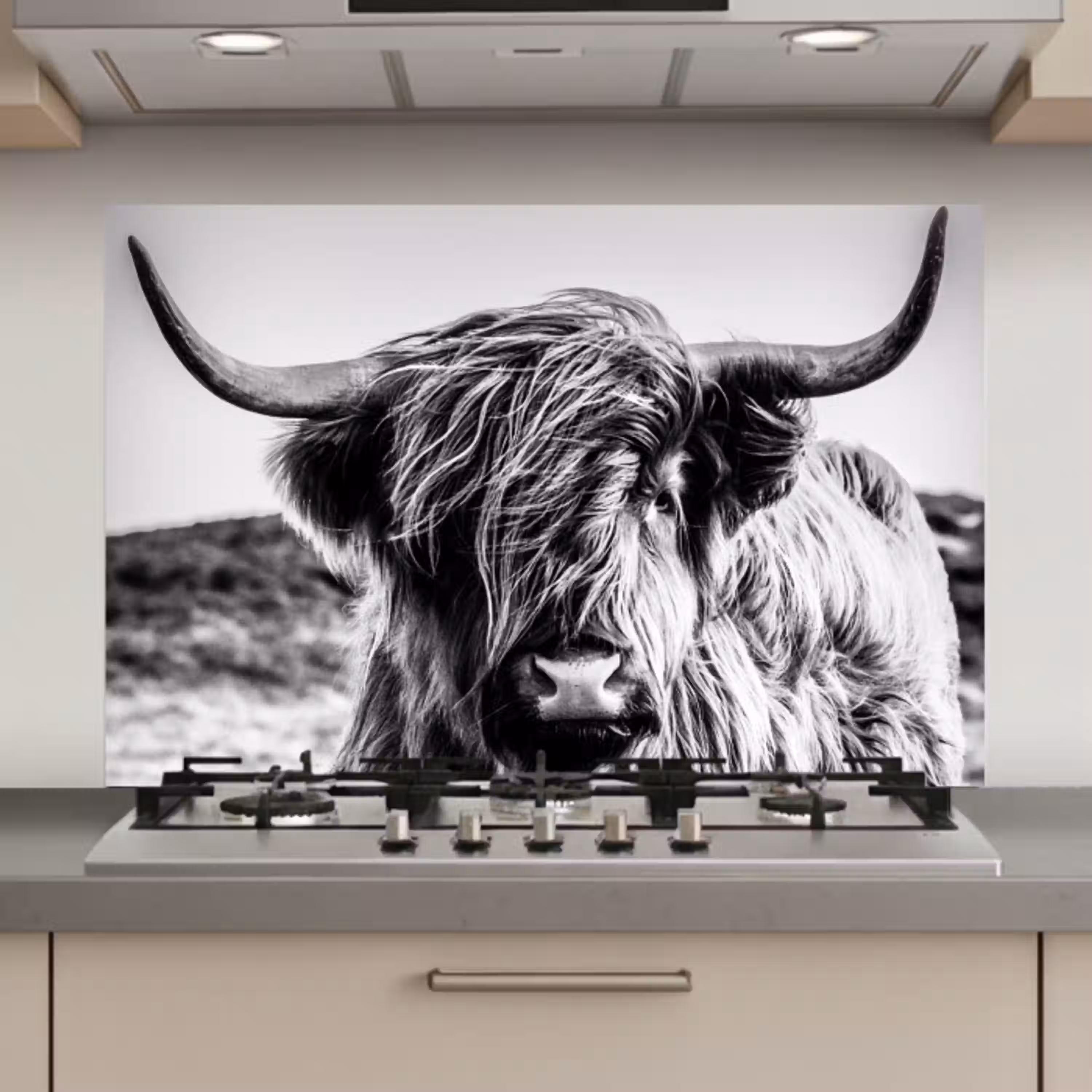 Koe - Schotse hooglander - Zwart - Wit - Dier - Natuur - Wild keuken achterwand spatscherm klein -3d_website