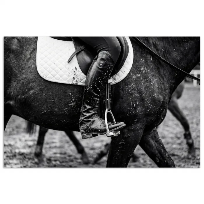 Paard - Sport - Zwart - Wit poster papier klein -3d