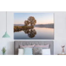 Bomen - Reflectie - Water - Zonsopgang - Serene forex 5mm xxl -slaapkamer