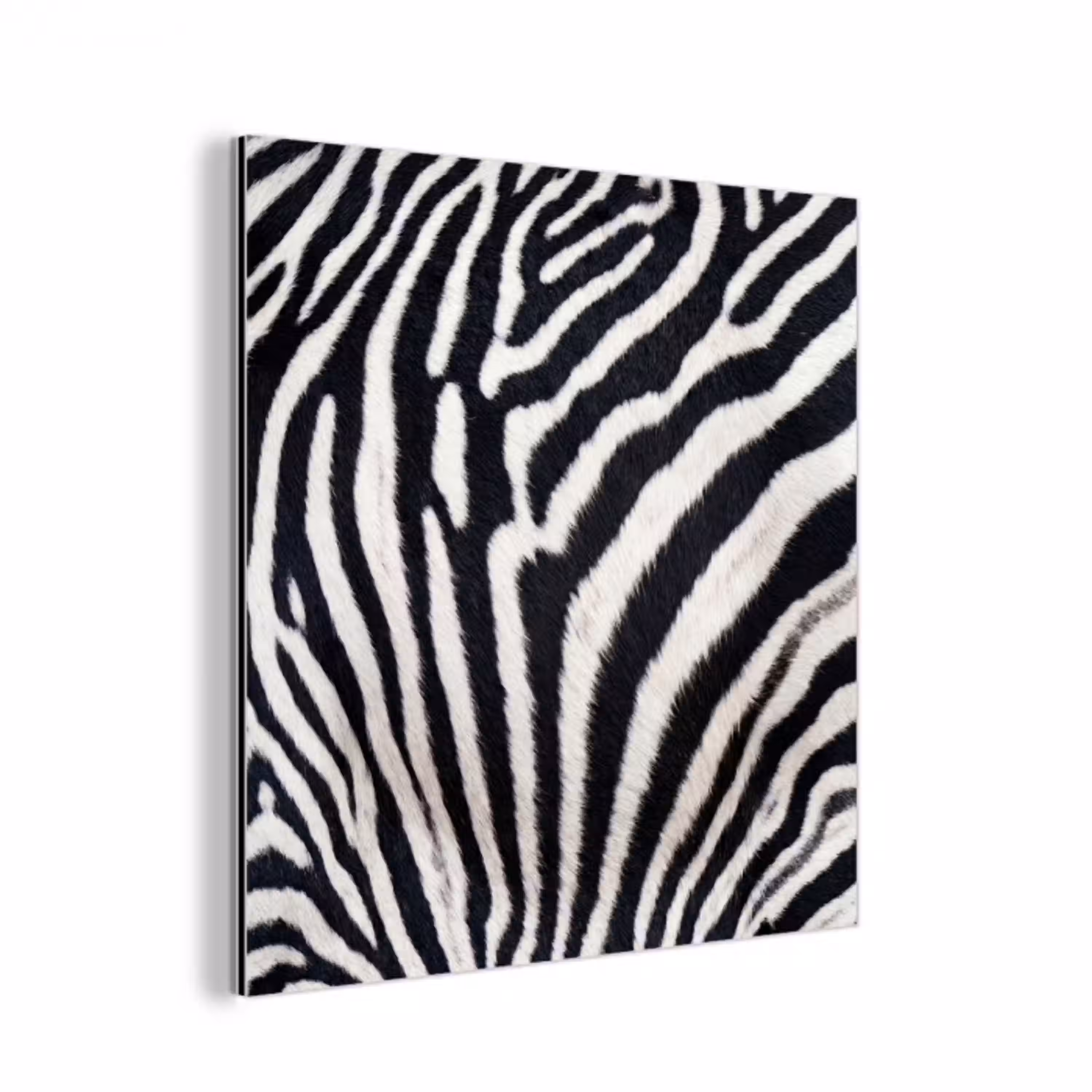 Zebra - Vacht - Klassiek - Zwart - Wit aluminium wit klein -3d