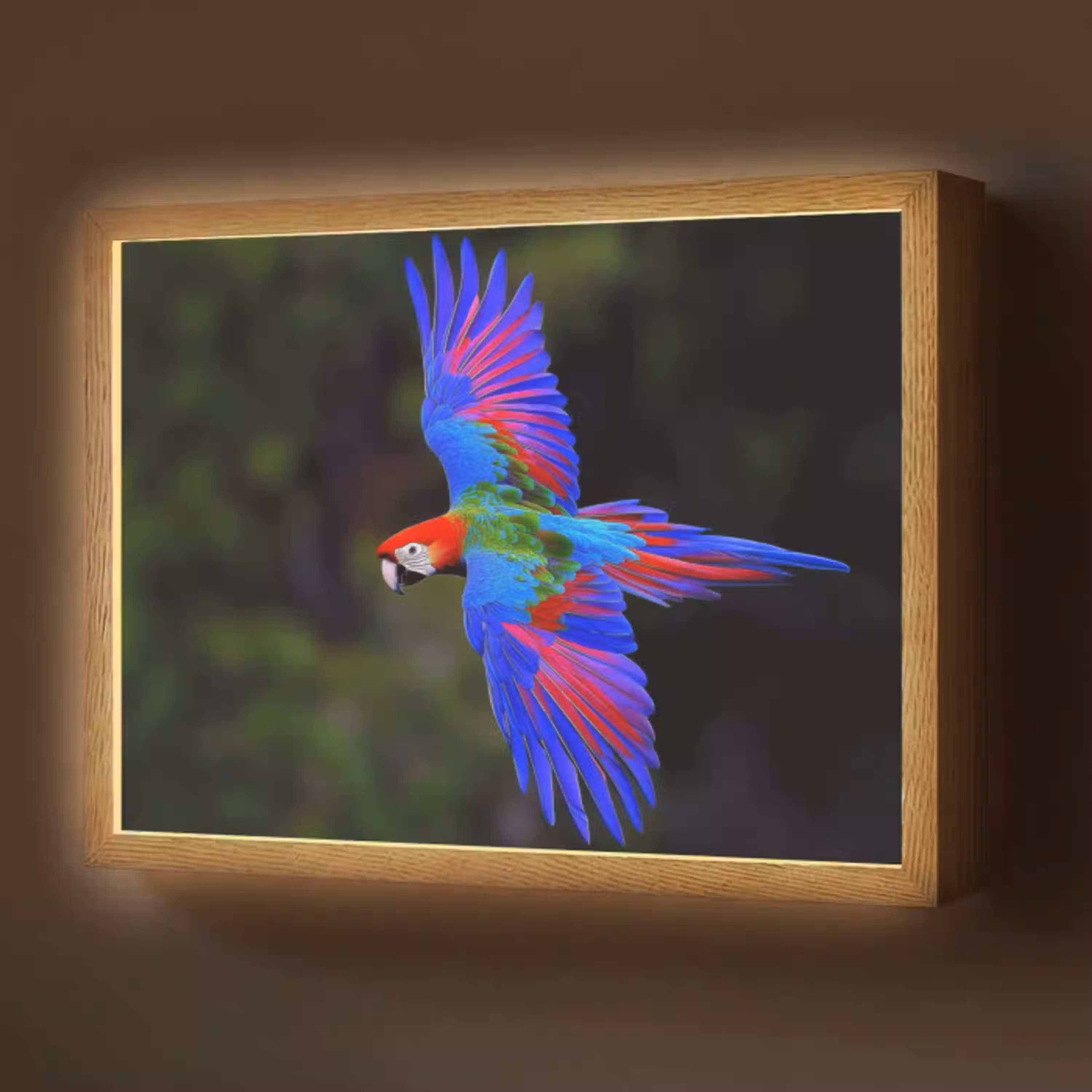 Felgekleurd - Papegaai - Bos - Vleugels Light Box met batterij (Wandlamp) middel -z3d_website