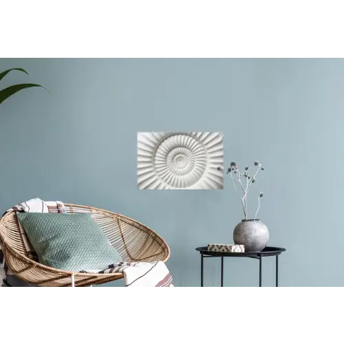 Schelp - Spiraal - Wit Muursticker klein -plant