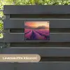Lavendelveld - Zonsondergang - Paars tuinposter los doek klein -sfeer3