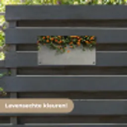 Bloemen - Muur - Oranje tuinposter los doek klein -sfeer3