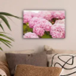 Struik - Bloemen - Roze - Hortensia canvas 2cm klein -sfeer1