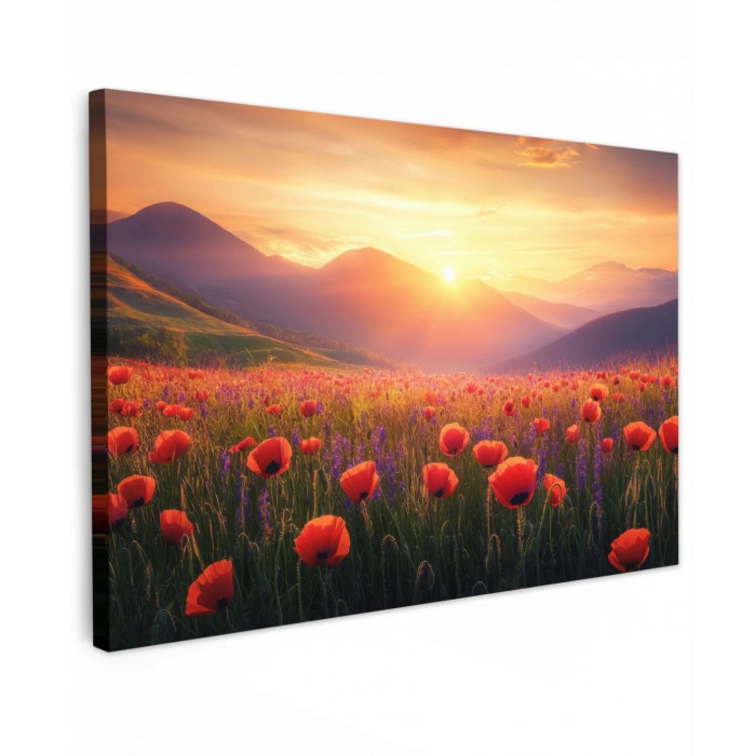 Landschap - Zonsondergang - Bloemenveld Tuinposter op houten frame 2 cm dik klein -3d