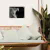 Dieren - Leeuw - Zwart - Wit - Portret tuinposter los doek klein -sfeer7