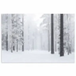 Bos - Sneeuw - Pad - Winter - Stilte poster papier klein -3d