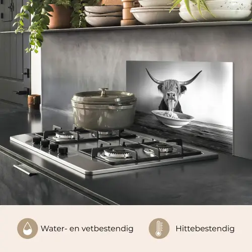 Schotse Hooglander - Spaghetti - Dieren - Zwart wit keuken achterwand spatscherm klein -usp_NL