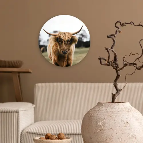 Schotse Hooglander -  Koe - Gras - Dieren - Natuur Wandcirkel kunststof plaat 5mm dik klein -sfeer1
