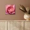 Roze - Roos - Romantisch aluminium wit klein -sfeer4