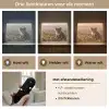 Koala - Bladeren - Ochtendlicht Light Box met batterij (Wandlamp) middel -USP_lichtkleurNL