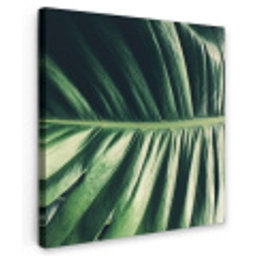 Tropisch - Inductie mat - Natuur - Inductie beschermer - Jungle Tuinposter op houten frame 2 cm dik klein -3d