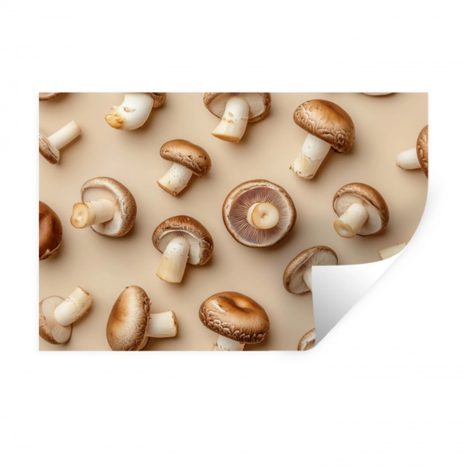 Kastanje Champignons - Beige Muursticker klein -3d