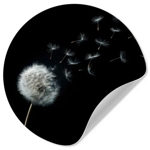 Paardenbloem - Zwart - Natuur Wandcirkel behangsticker klein -3d
