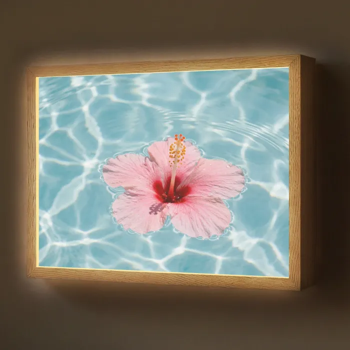 Hibiscus - Water - Roze Light Box met batterij (Wandlamp) middel -z3d_website