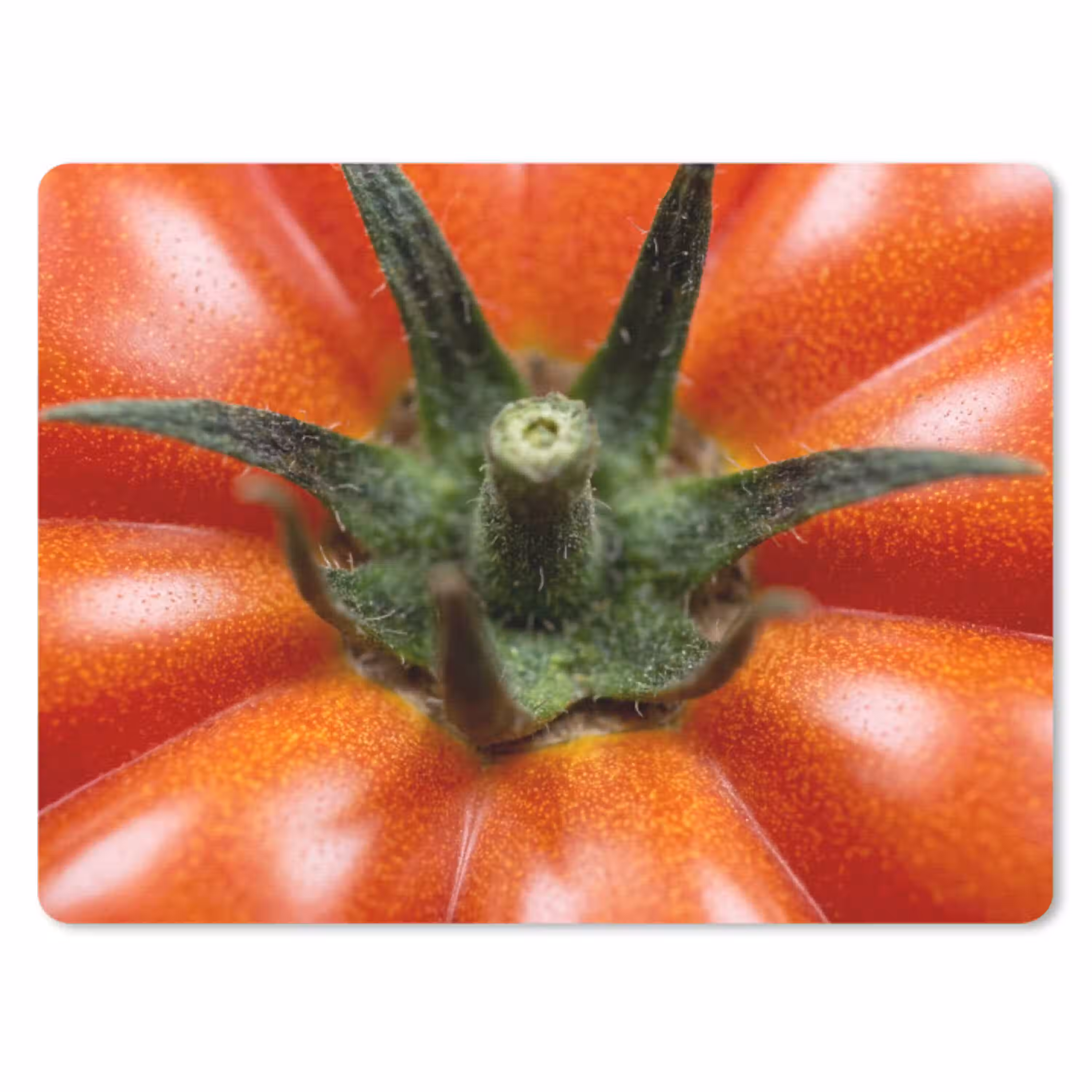 Eten - Tomaat - Rood muismat rubber klein -3d