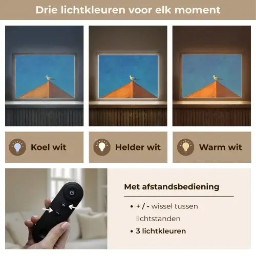 Meeuw - Gebouw - Lucht - Geschilderd Light Box met batterij (Wandlamp) middel -USP_lichtkleurNL