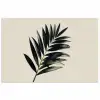 Palmblad - Subtiel - Groen - beige poster papier klein -3d