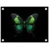 Vlinder - Groen - Opvallend tuinposter los doek klein -3d