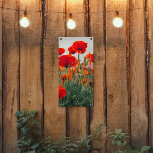 Klaprozen in close-up bij zonsondergang tuinposter los doek klein -sfeer1