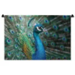 Pauw - Veren - Blauw Wandkleed katoen middel -zz3d