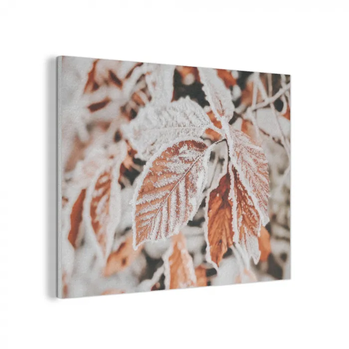 Bladeren - IJs - Winter - Natuur PET vilt klein -3d