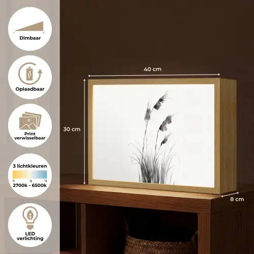 Minimalistisch - Stelen - Wit Light Box met batterij (Wandlamp) middel -USP_websiteoverzichtNL
