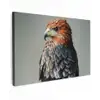 Vogel - Realistisch - Veren - Bruin Tuinposter op houten frame 2 cm dik klein -3d
