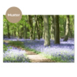 Bos - Pad - Bloemen - Paars - Groen - Natuur keuken achterwand sample klein -3d_DE