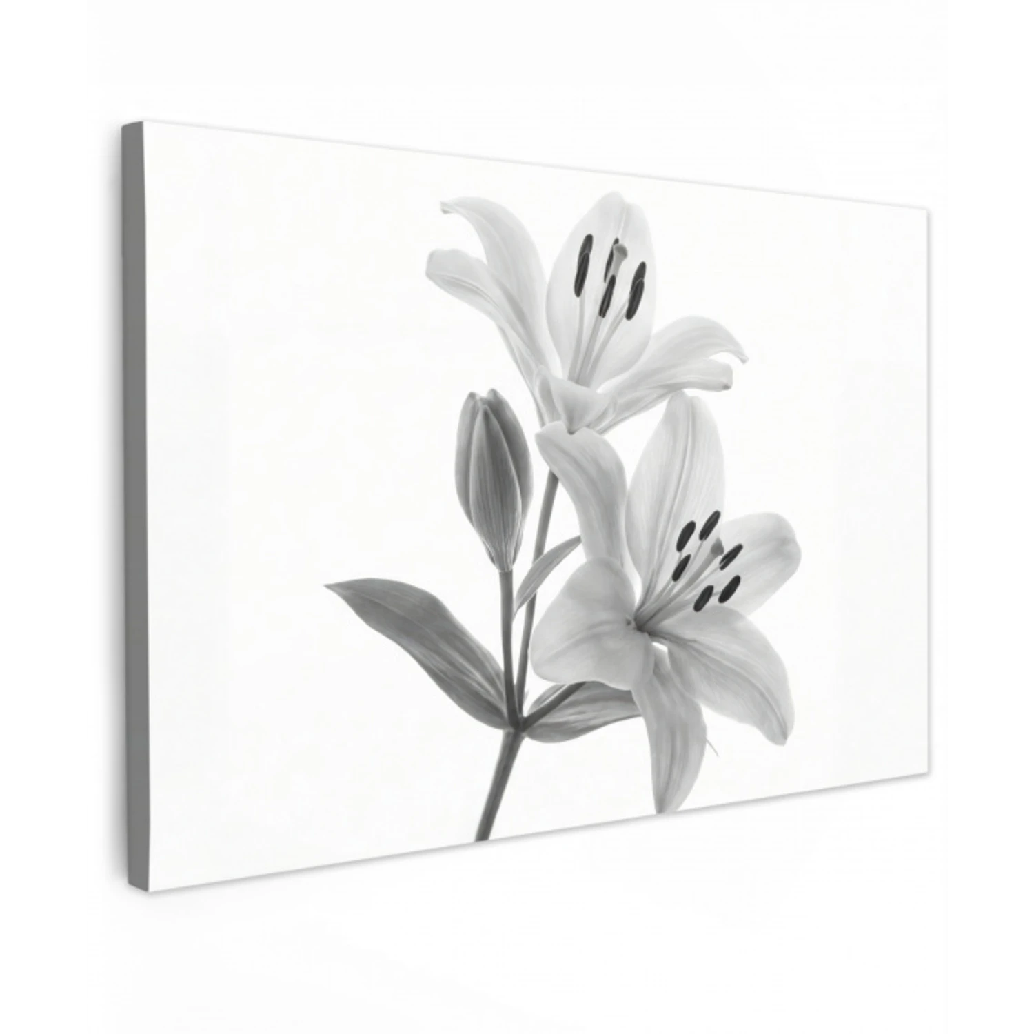 Lelies - Elegant - Zwart - Wit Tuinposter op houten frame 2 cm dik klein -3d