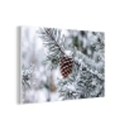 Dennenappel - Tak - Sneeuw - Winter - Sfeervol forex 5mm xxl -3d