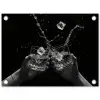Whiskyglazen - Ijs - Spetters - Zwart tuinposter los doek klein -3d