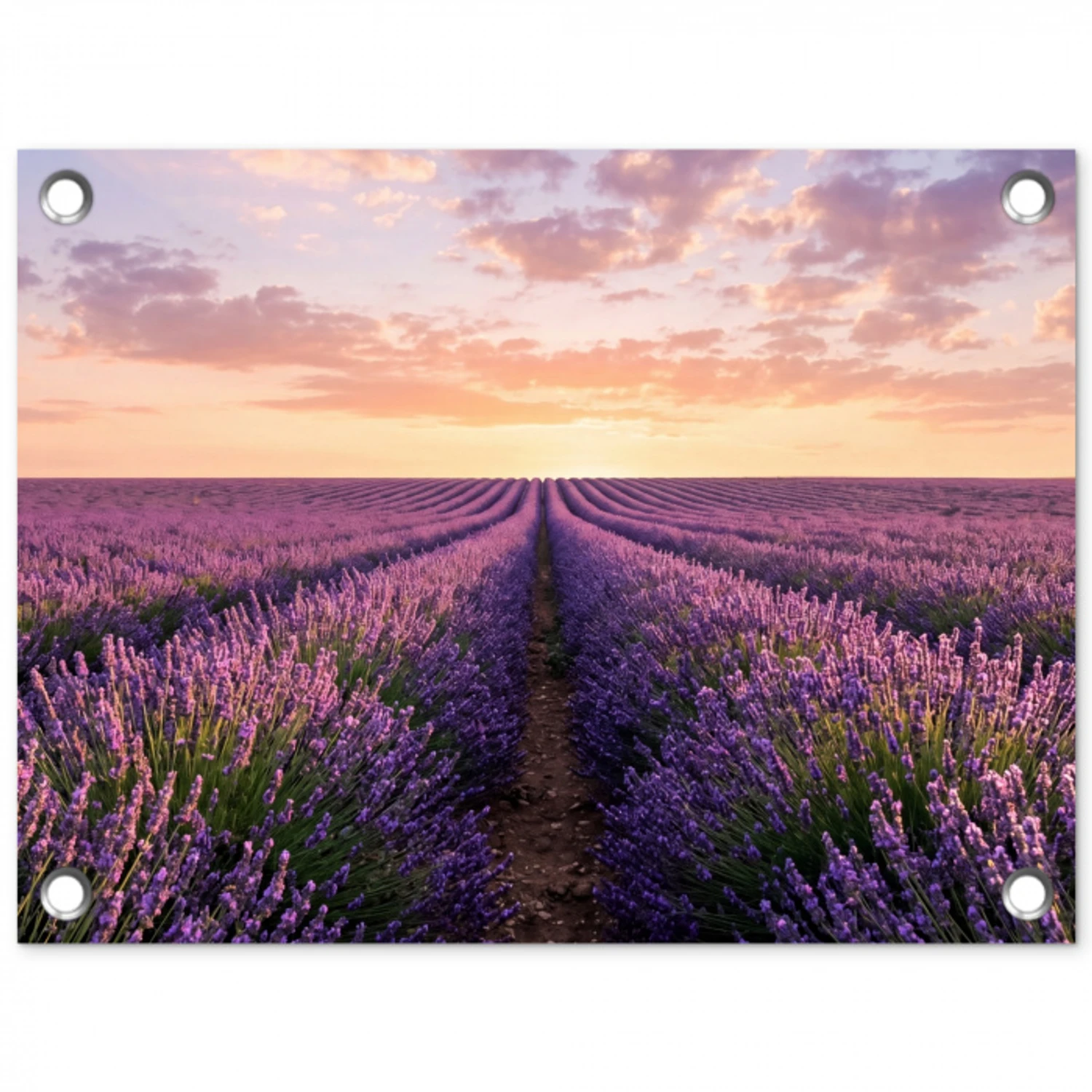 Landschap - Lavendelveld - Paars tuinposter los doek klein -3d