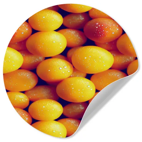 Vrucht - Waterdruppels - Oranje Wandcirkel behangsticker klein 186 -3d