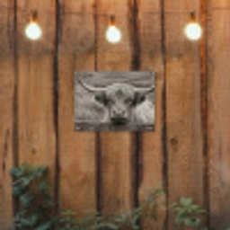 Schotse hooglander - Zwart - Wit - Hout tuinposter los doek klein -sfeer1