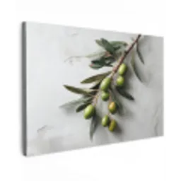 Olijventak - Beton - Mediterraan canvas 2cm klein -z3d