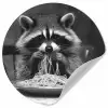 Wasbeer - Cute - Pasta - Tafelkleed - Zwart - Wit Wandcirkel behangsticker klein -3d